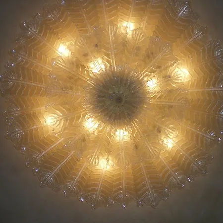 Oasis