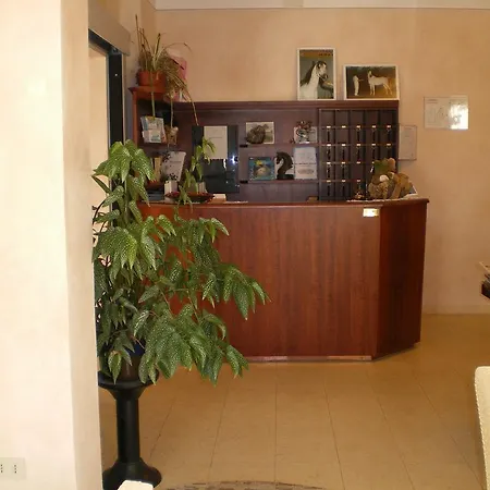 فندق Oasis مارينا دي رافينا