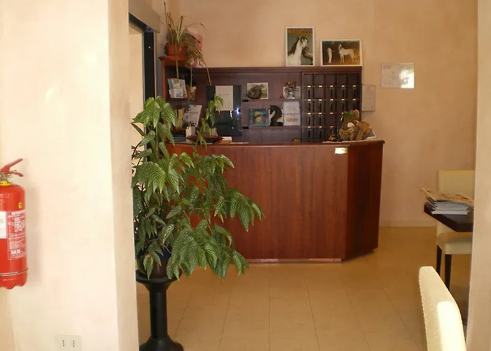 Hotell Oasis Marina di Ravenna